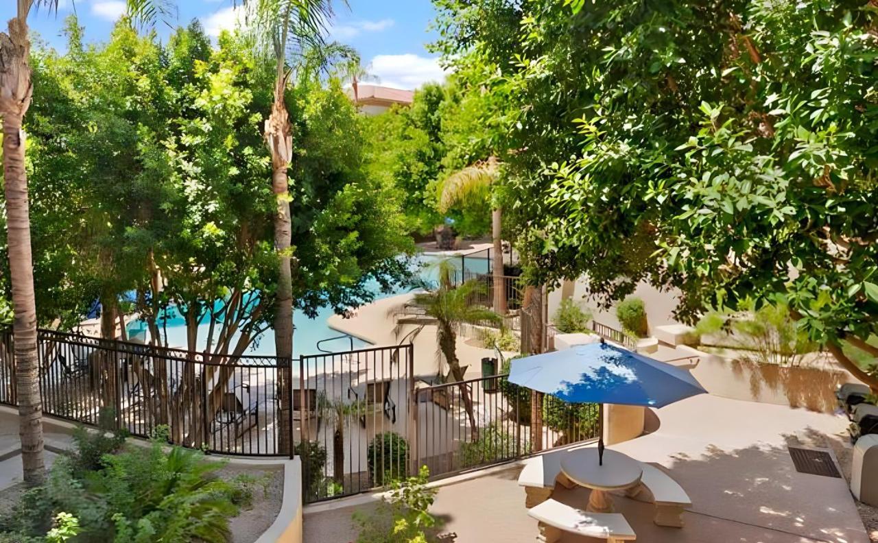 Biltmore Bliss Desert Retreat! Phoenix Zewnętrze zdjęcie