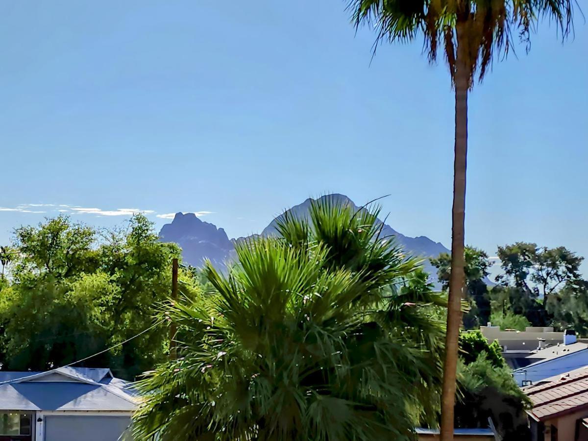 Biltmore Bliss Desert Retreat! Phoenix Zewnętrze zdjęcie